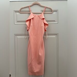 Zara Trafaluc Dress